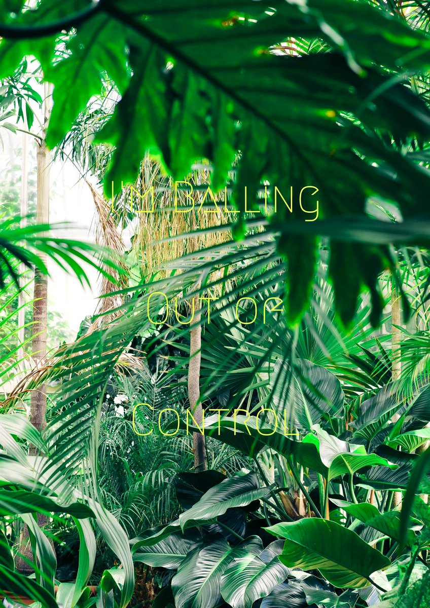 freshlyfe X lava boi tweet media