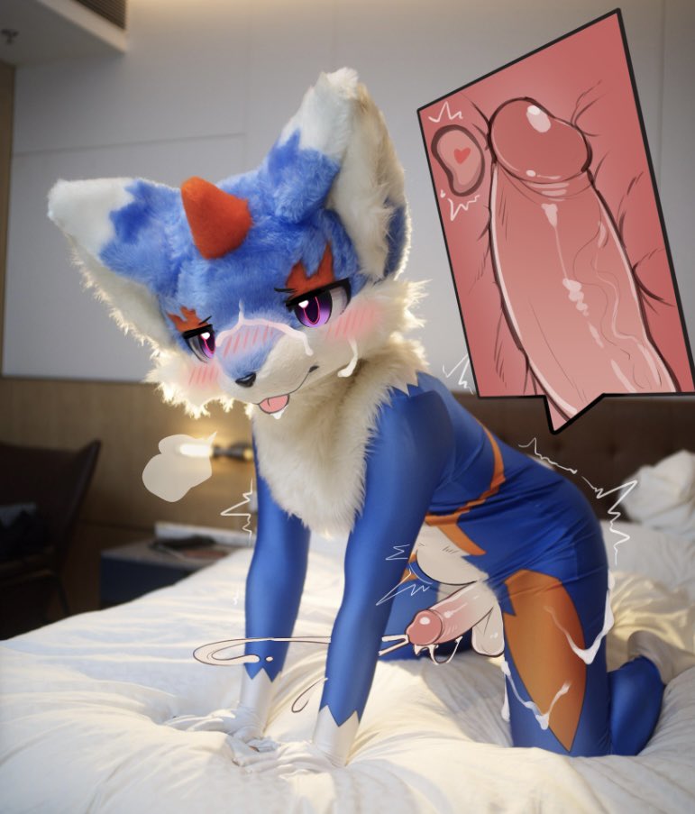 RagdollMeow tweet media