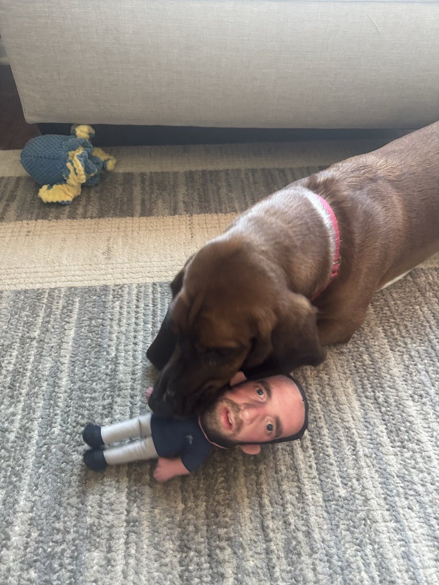 ZachJamesSmith's tweet photo. Daisy and Rufus enjoy their Hank toy @BarstoolBigCat @hen_ease @PFTCommenter @PardonMyTake https://t.co/FJxJv4JrcJ