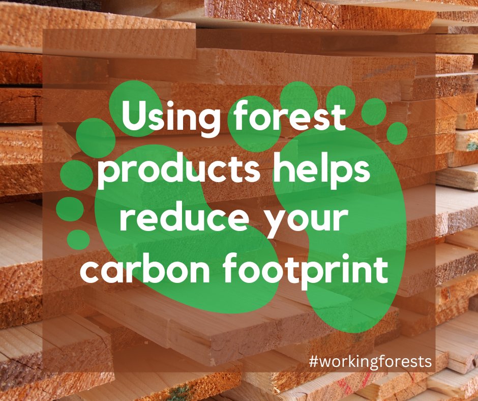 WAWorkingForest's tweet photo. Wood is an essential part of a lower-carbon future. It stores   carbon, is renewable, and supports sustainable building choices that can help   reduce emissions over time. #workingforests https://t.co/98plcDD85f