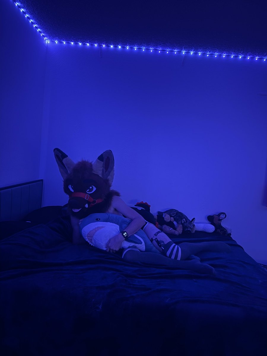 Onixthesheppy🔜MFF tweet media