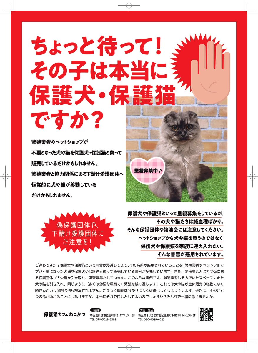 ちょっと待って！
その子は、本当に保護猫・保護犬ですか？

偽保護団体や下請け愛護団体にご注意を！

繁殖業者やペットショップが不要となった犬や猫を保護犬・保護猫と偽って販売しているだけかもしれません。