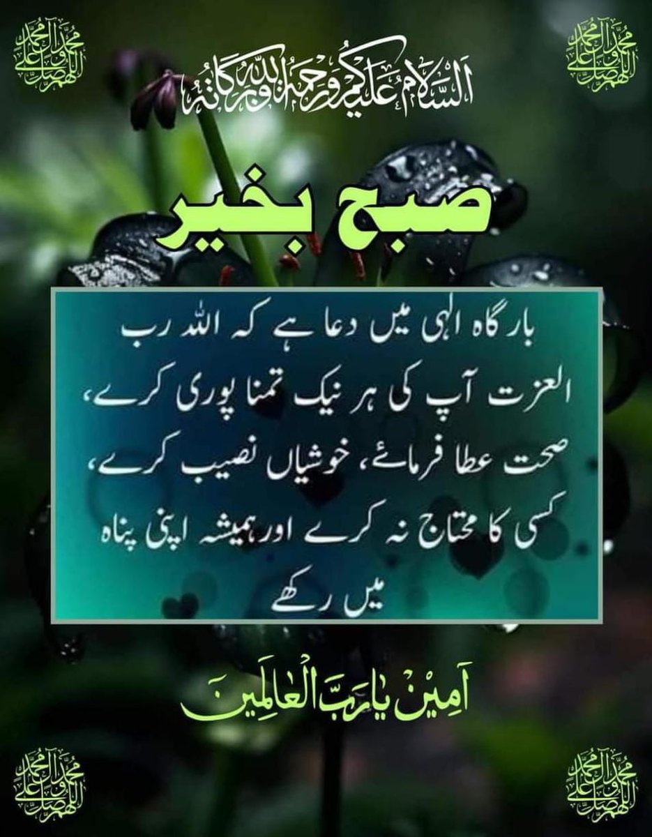 *IBNE SIDDIQUI OFFICIAL* tweet media