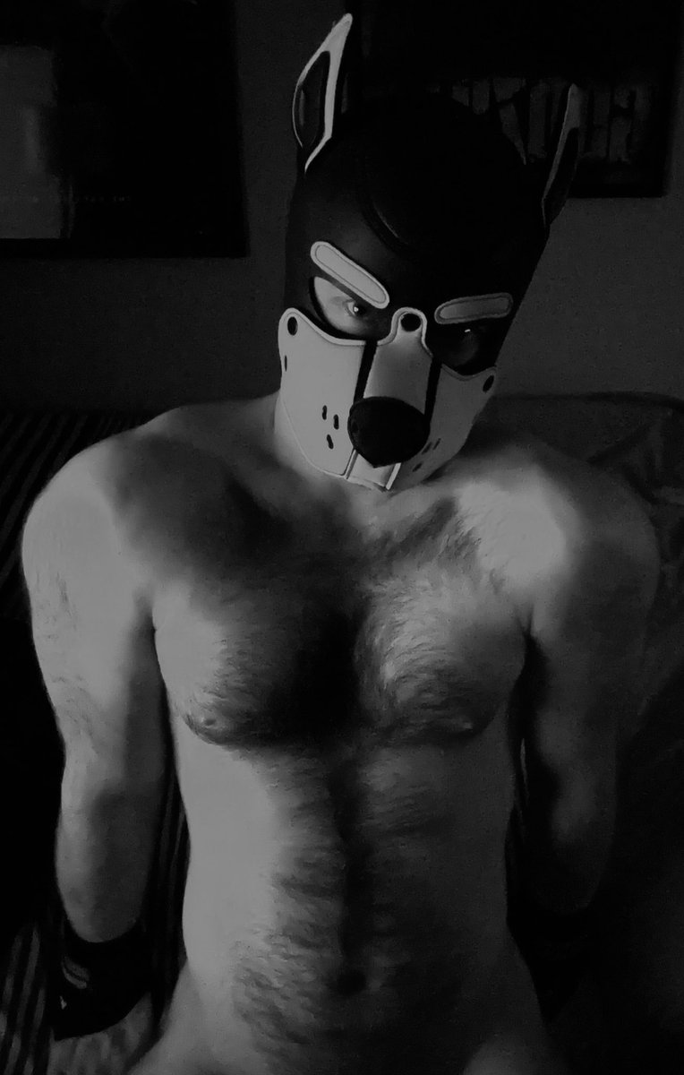 ⛓️PupOttie⛓️After Dark 🔞⛓️ tweet media