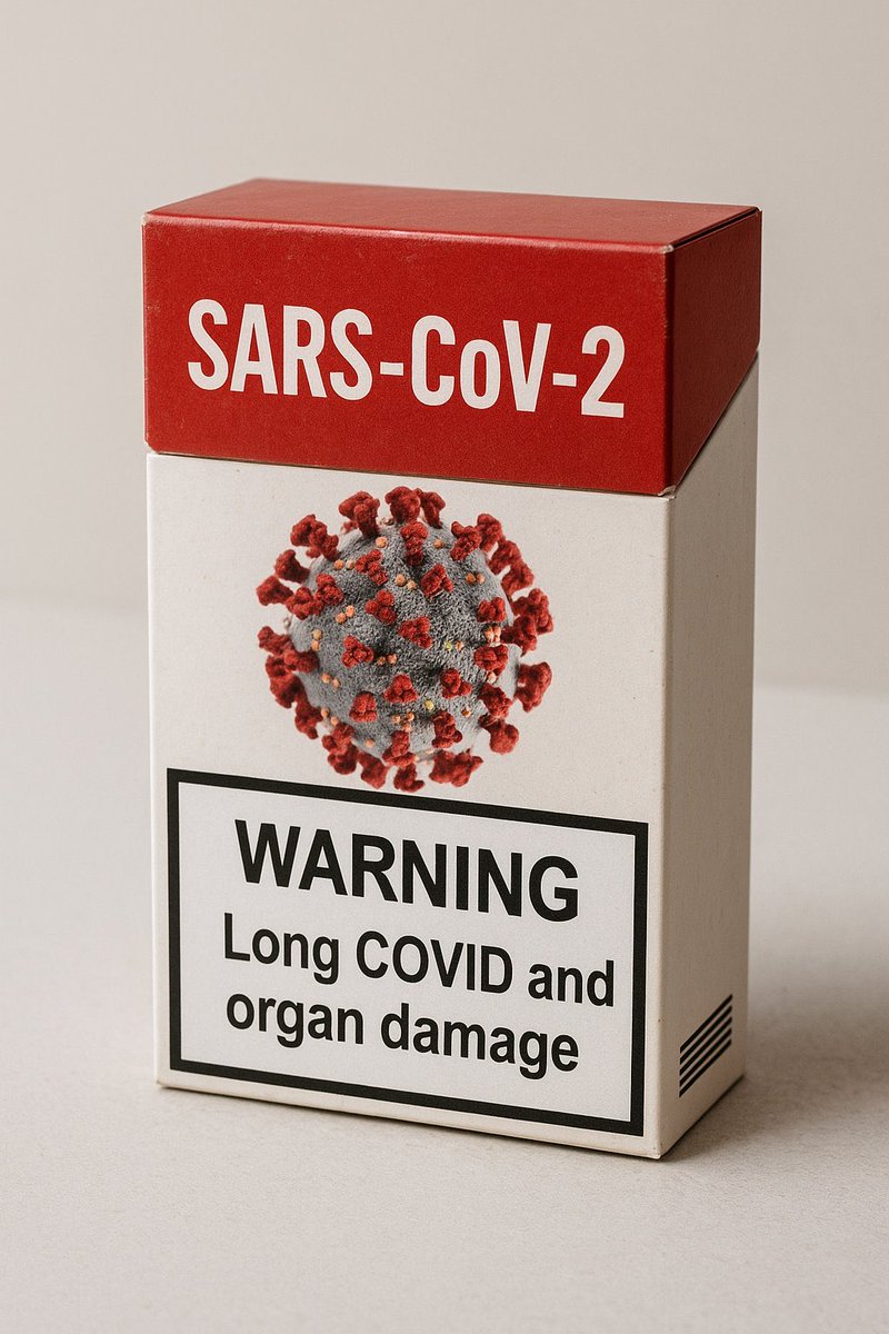 Feline Dionne tweet media