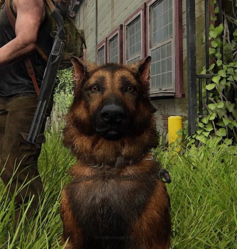 😛🔨 tweet media