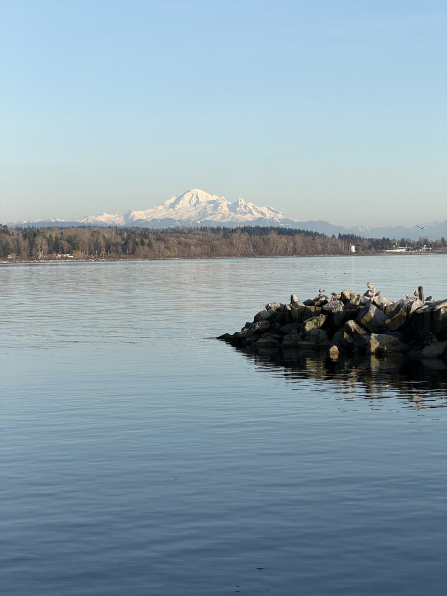 AnujSayal's tweet photo. Beautiful #whiterock https://t.co/p7vWreQv0P