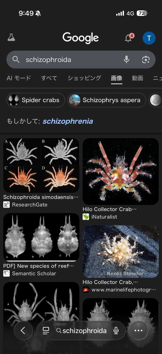 なべっちょ🦀 tweet media