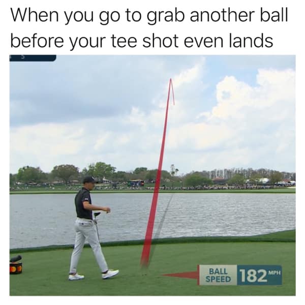 LostGolfBalls.com tweet media