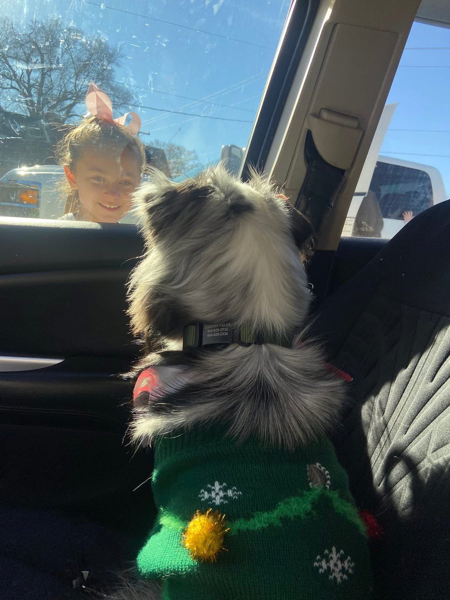 AmyPFields1's tweet image. 15 years of marriage, 3 kids, &amp;amp; 1 Mini Aussie named Cooper... @Windex has been our "silent partner" since 2011! 🧼✨ From our 1st apt to our home in Anderson, SC, thanks for clearing the way for 15 years of memories. Happy Anniversary to us! 🥂💙 #Windex #15YearsStrong