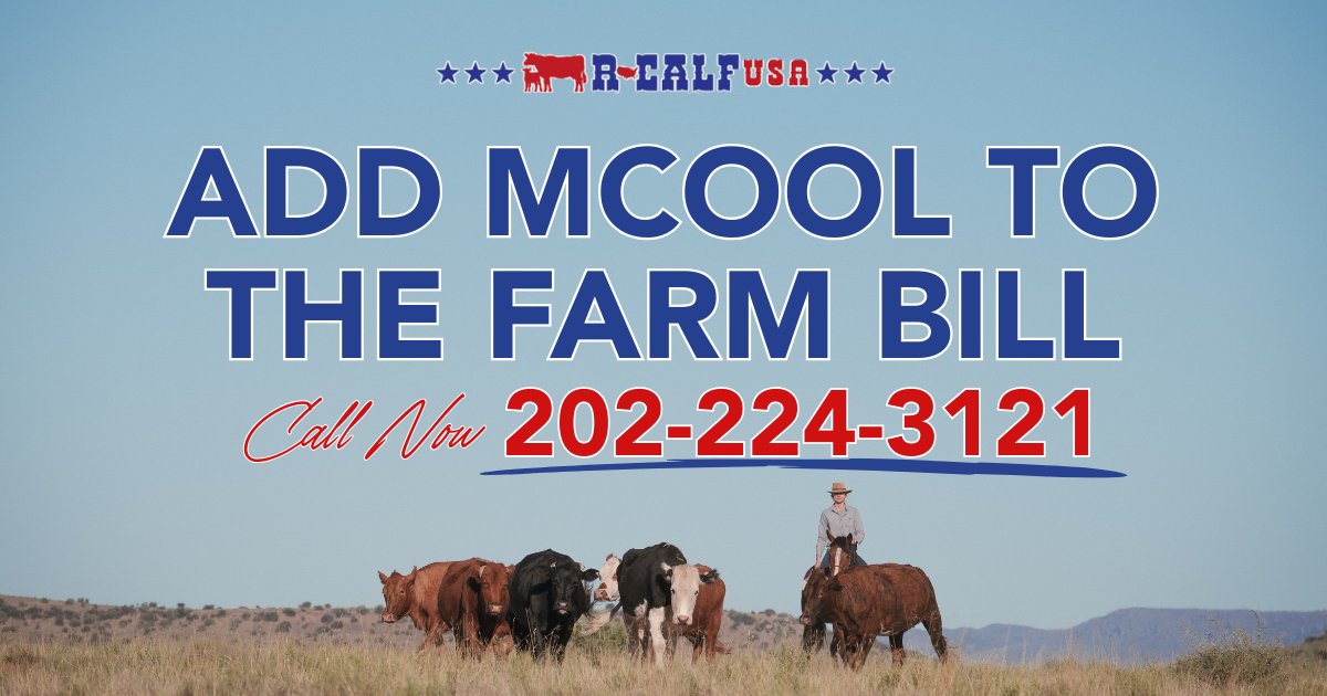 R-CALF USA tweet media