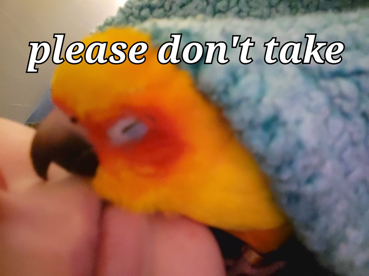 Pepper and Pals tweet media