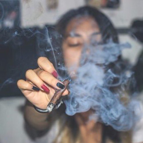 ✨Lovely✨ tweet media