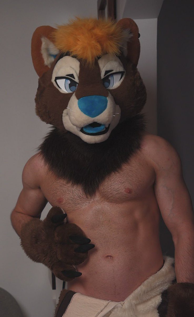 Kaïko the dotter ➡️ LVFC tweet media