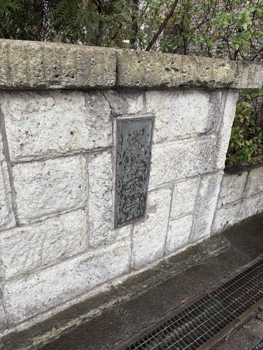 Fumitaka Shimoyama/下山史隆 tweet media