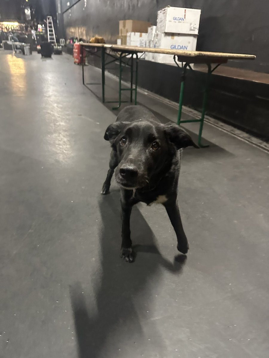 DIFFERENT:ACCOUNT DAI (@different758) / Posts / X