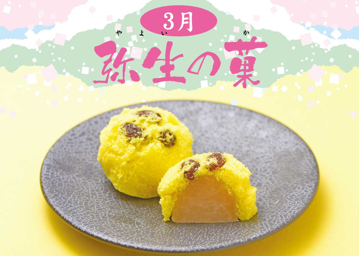 【公式】かもめテラス/かもめの玉子 tweet media