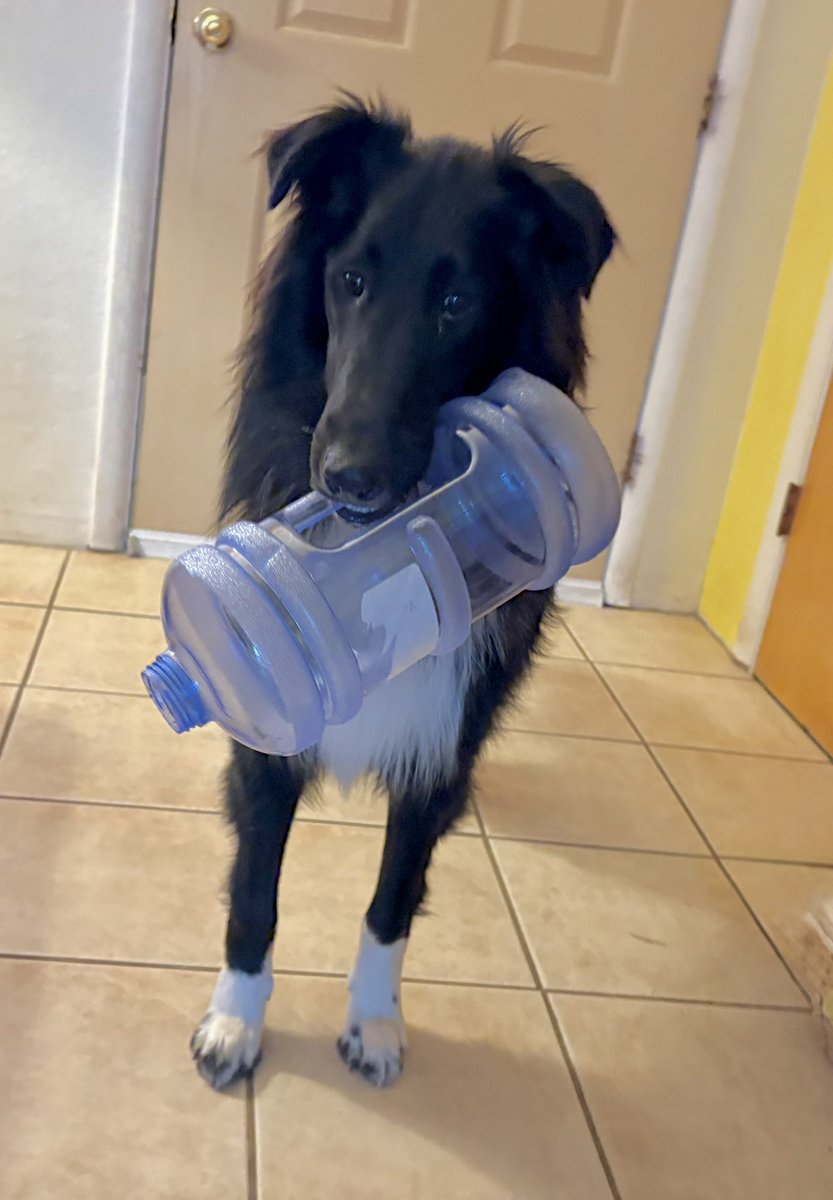 The Snoopervisor 2.0 /Moses (Wilma🌈) tweet media