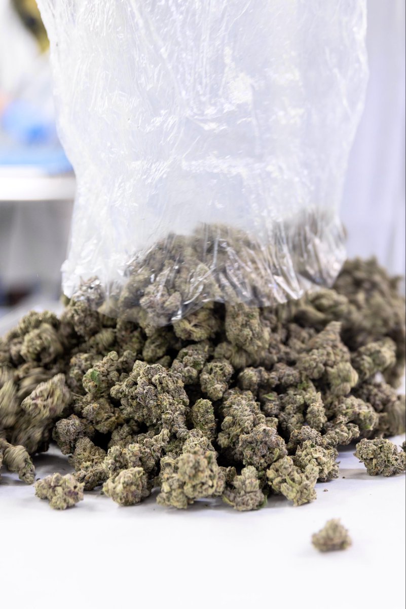 Traditional tweet media