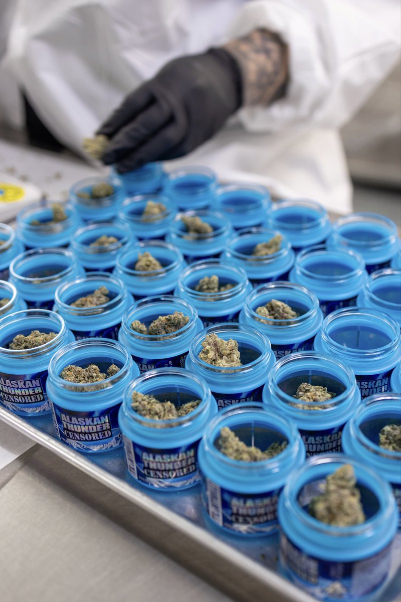 Traditional tweet media