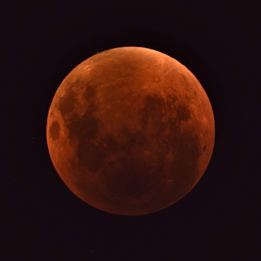 Skymaps | The Evening Sky Map tweet media