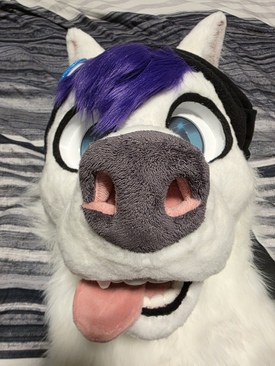 Leepy115's tweet photo. @FrizkFur Do it!! It's fun! https://t.co/a6IcpZoTY8
