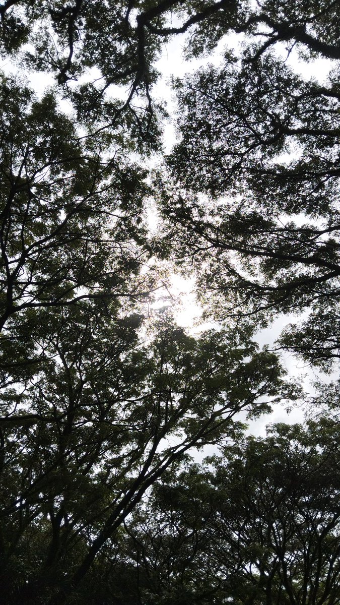 💐Murid2 Abuya Maliki melarang mempelajari kitab durrotun nashihin sebab banyak selundupan2 hadis palsu serta cerita2 isroiliyat
Nb:hanya muhaddis yg faham

✍🏻dars Habib Sholeh Alaydrus 
(Abna' senior Abuya Maliki)

Ustadzah Aminah AlAttas