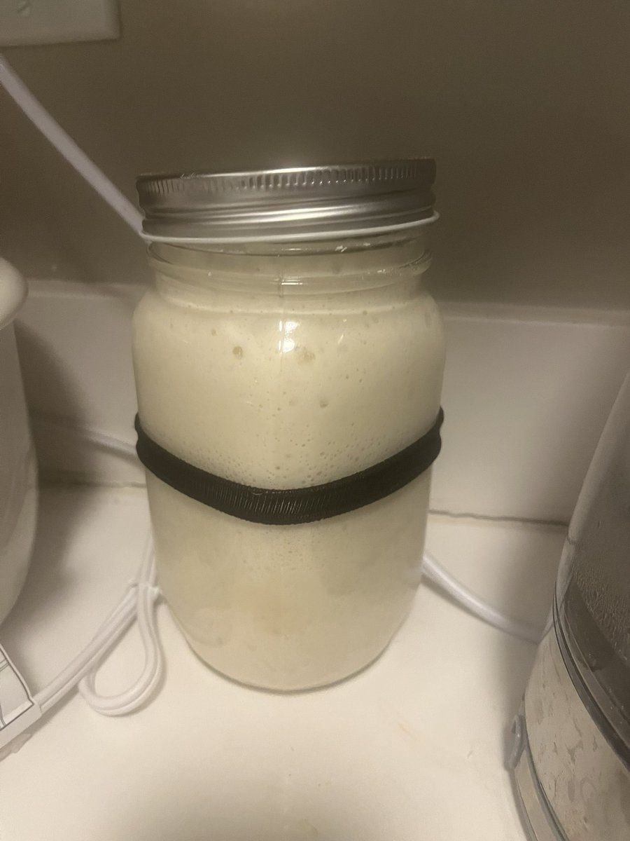 DlaremeFunshine's tweet photo. In case you missed it, I’m a sourdough mom. C: Meet my daughter Lucille… aka Lucy Ricardough. https://t.co/qNAHD4ZOXY