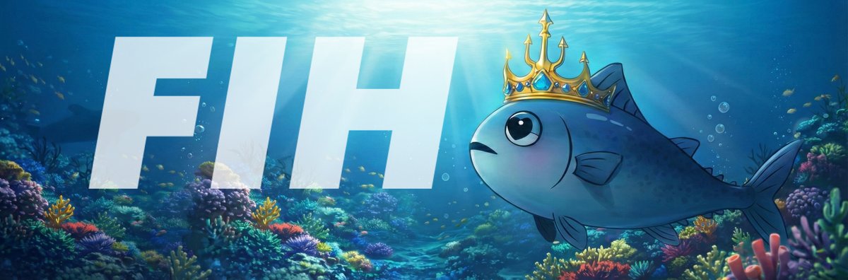 FIH🐟 tweet media