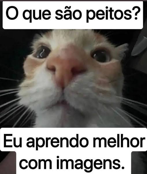 Frases em baixa qualidade tweet media