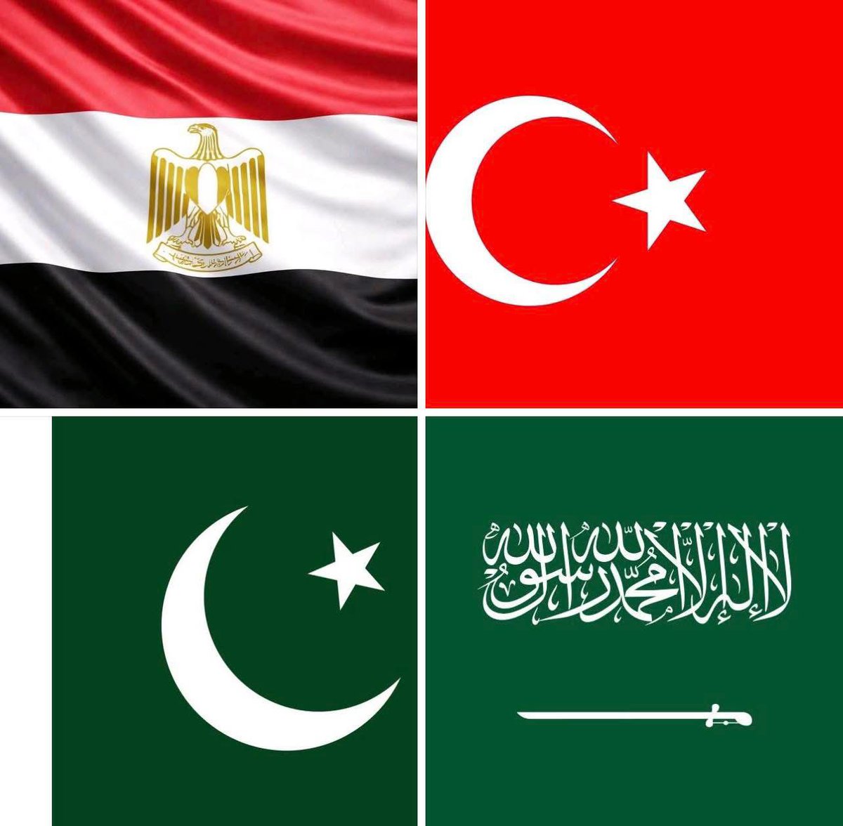 د. صالح tweet media