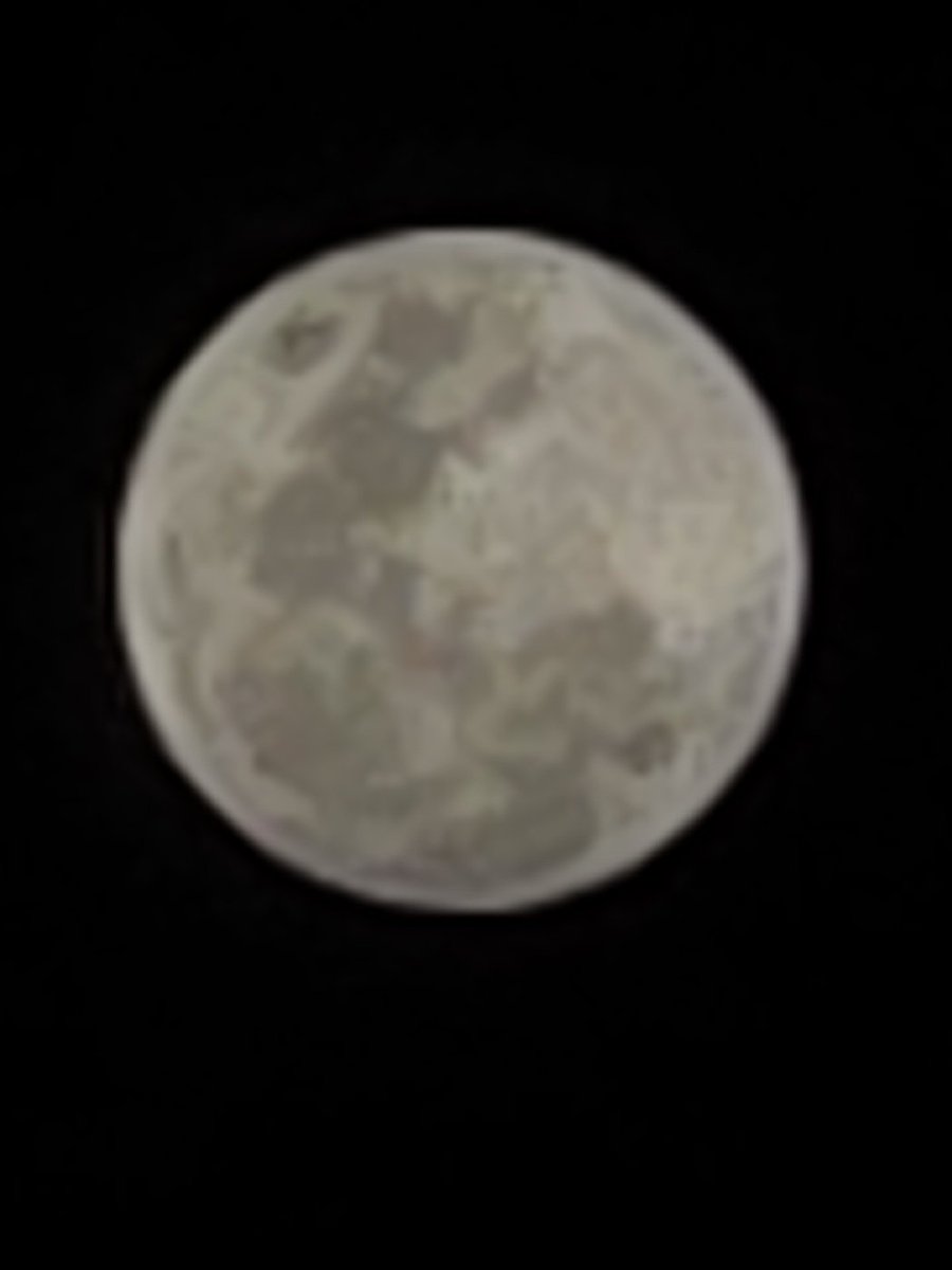 Yayi Soto📖 tweet media