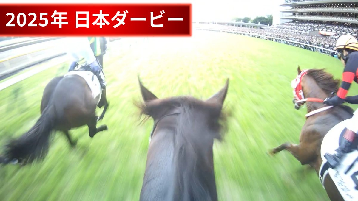 JRA公式 (@JRA_Special) / Posts / X