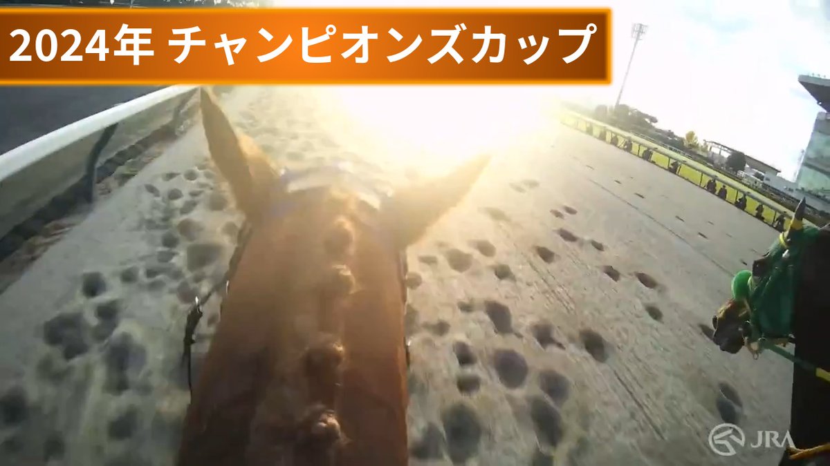 JRA_Special's tweet photo. 今日は #耳の日 🐴

ジョッキーカメラに映る競走馬の耳が話題になることも！
皆さんは後ろ姿だけでどの馬か分かりますか？👀

皆さんが好きな後ろ姿やジョッキーカメラをリプライで教えてください✨ https://t.co/0CapN4zuFU