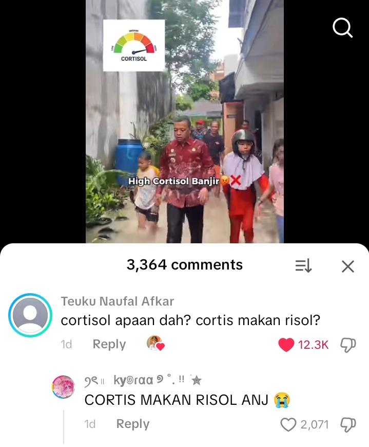 Serenite♪ tweet media