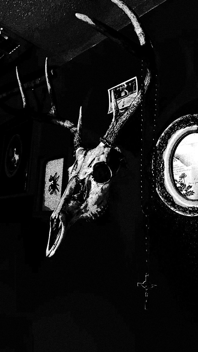 ᅠ ᅠ ᅠ ᅠ 𝓉𝑎𝑟𝑎𝑛𝑡𝑢𝓁𝑎 𝔤𝑖𝑟𝑙 .ᐟ tweet media