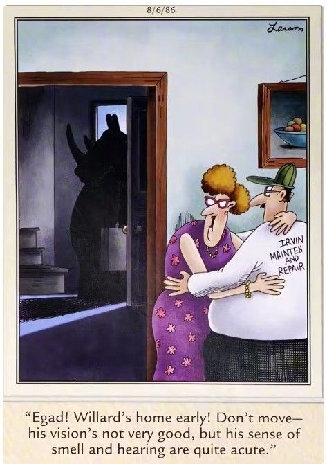 twilly18's tweet photo. #RandomLarson https://t.co/sueKEWtID8
