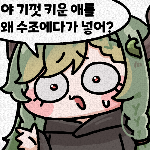 거북새 tweet media