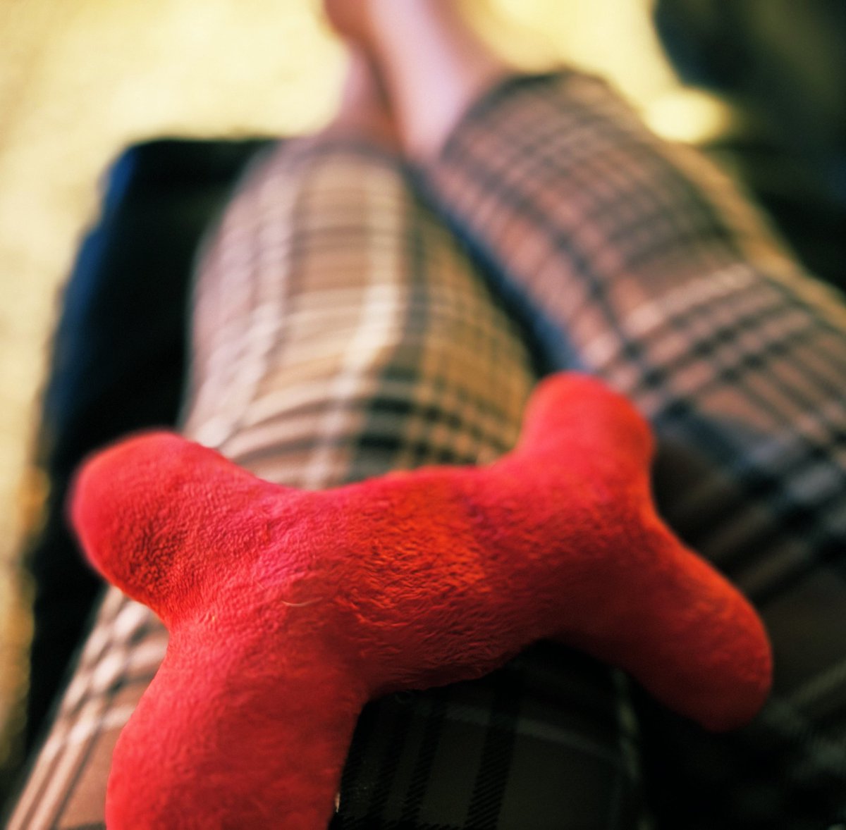 sadie_424's tweet image. When mom worries, I find it best to bring her an emotional support toy. ❤️ I always place it gently in her lap so she knows I’m not trying to play. - Soph ❤️🐾#EmotionalSupport #Worried