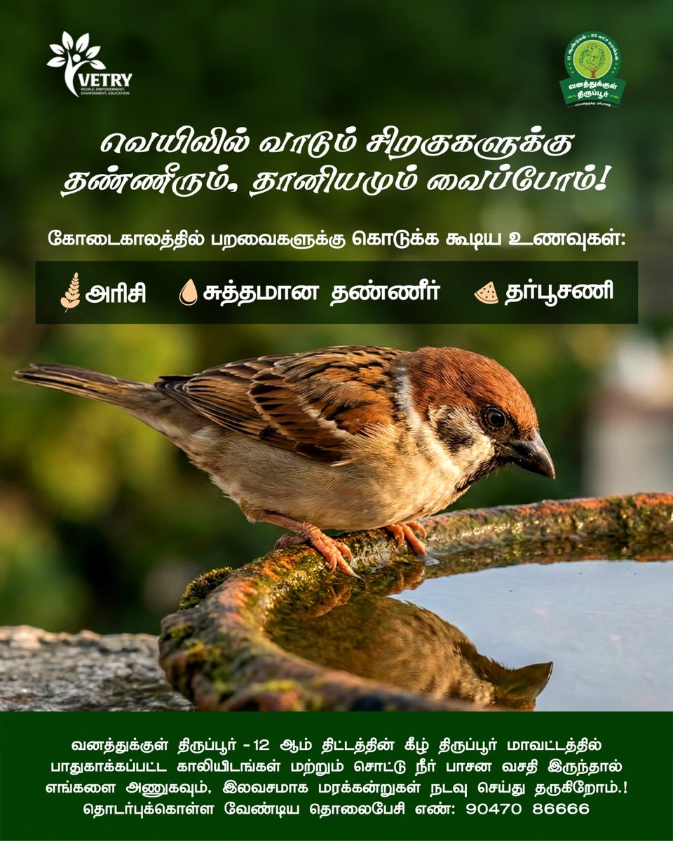 Vetry - வெற்றி tweet media