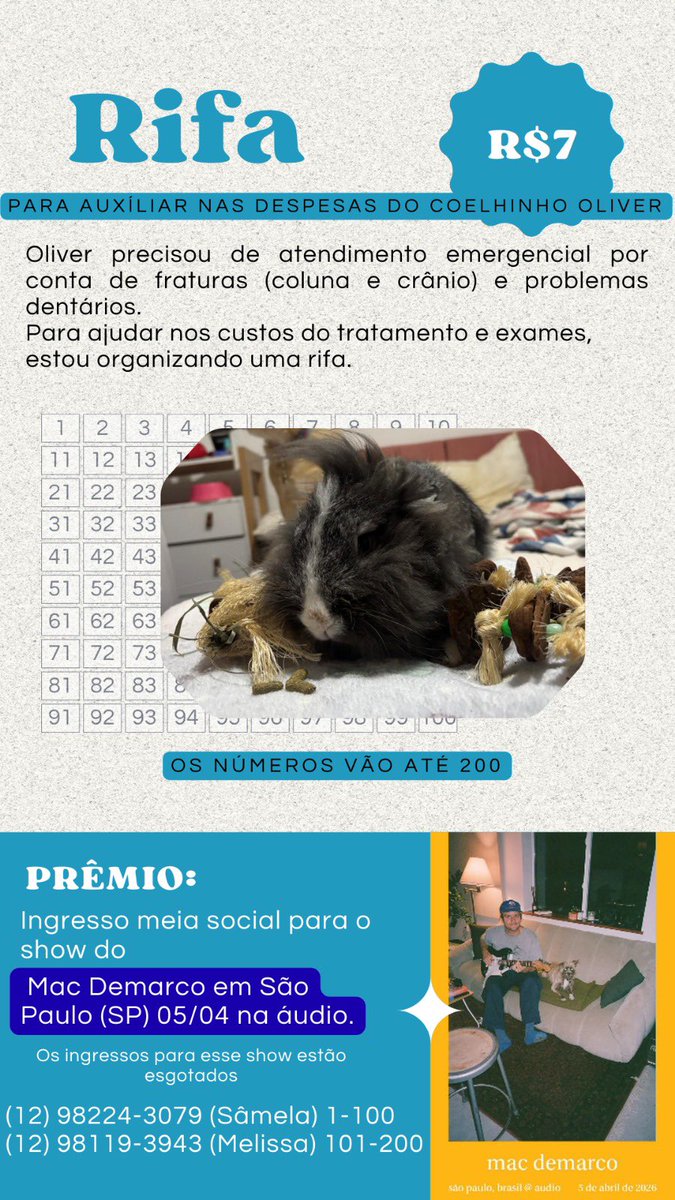 ohsweetnesss_'s tweet photo. @giuliabenite oii gente, coelhinho ficou internado esse final de semana, me pegou extremamente de surpresa e por exótico, os gastos veterinários são ainda maiores, fiz uma rifa com um ingresso para show do Mac Demarco 05/04 participem para concorrer ou mesmo compartilhando 💙🙏🏼 https://t.co/8GVvVOzAKK