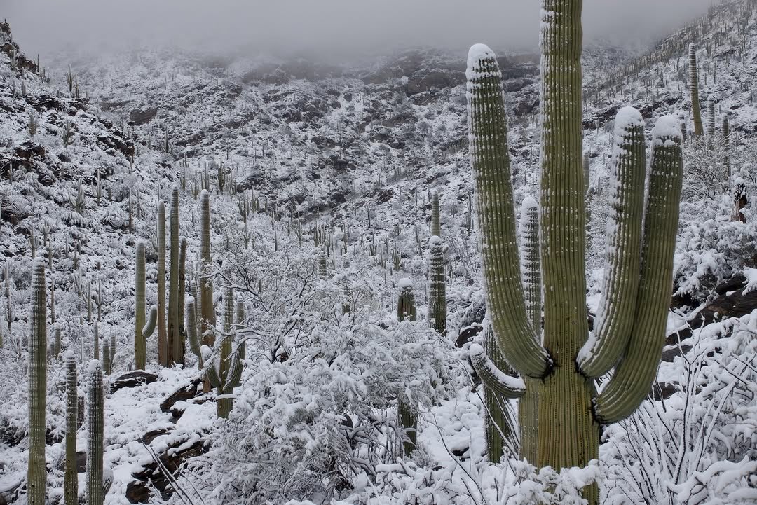 Josh Lien / Fine Art Photographer tweet media