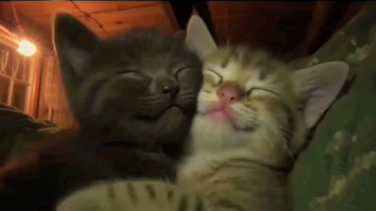 Maxi Aventuras 💙 tweet media