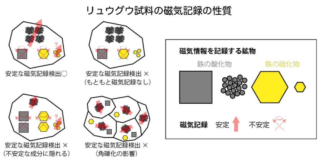東北大学理学研究科広報室 tweet media