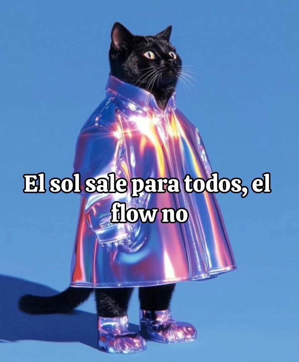 Dilo con gatitoz (@dilocongatitoz) on Twitter photo 