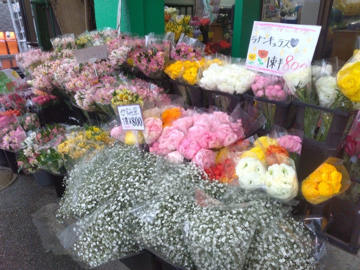 本日もワールドフラワーオープンしております💐 切花が昨日入荷した物