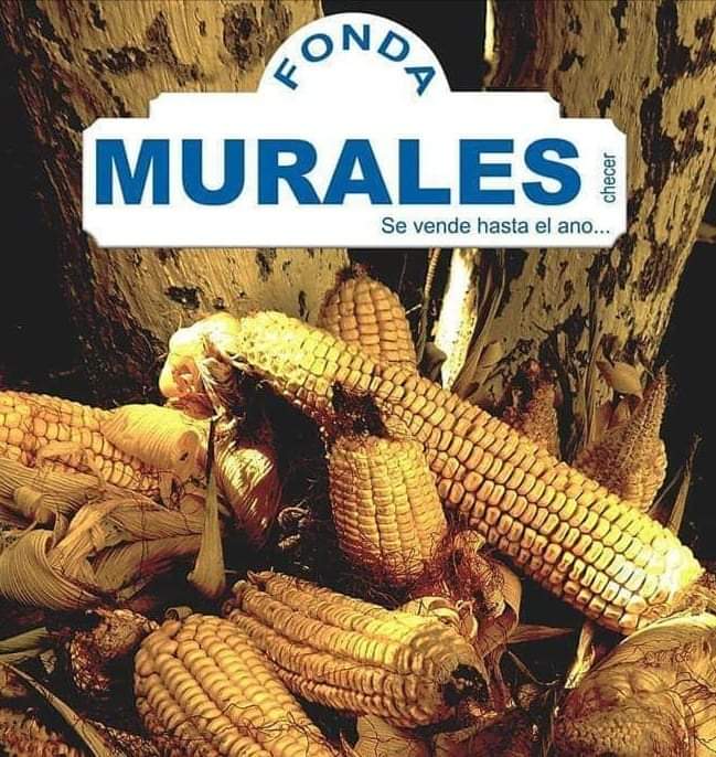 Fondamurales1's tweet photo. https://t.co/EKk965a2PL