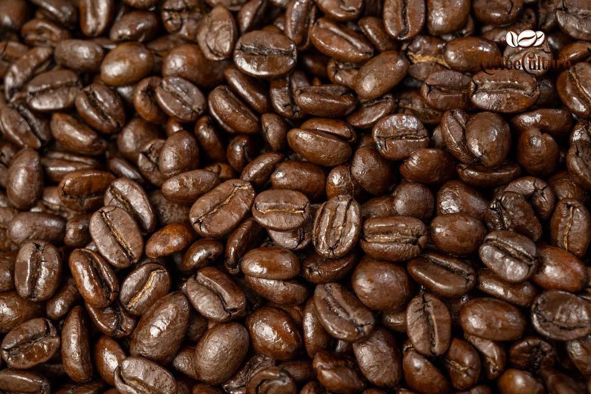 Coffee Culture Thailand tweet media