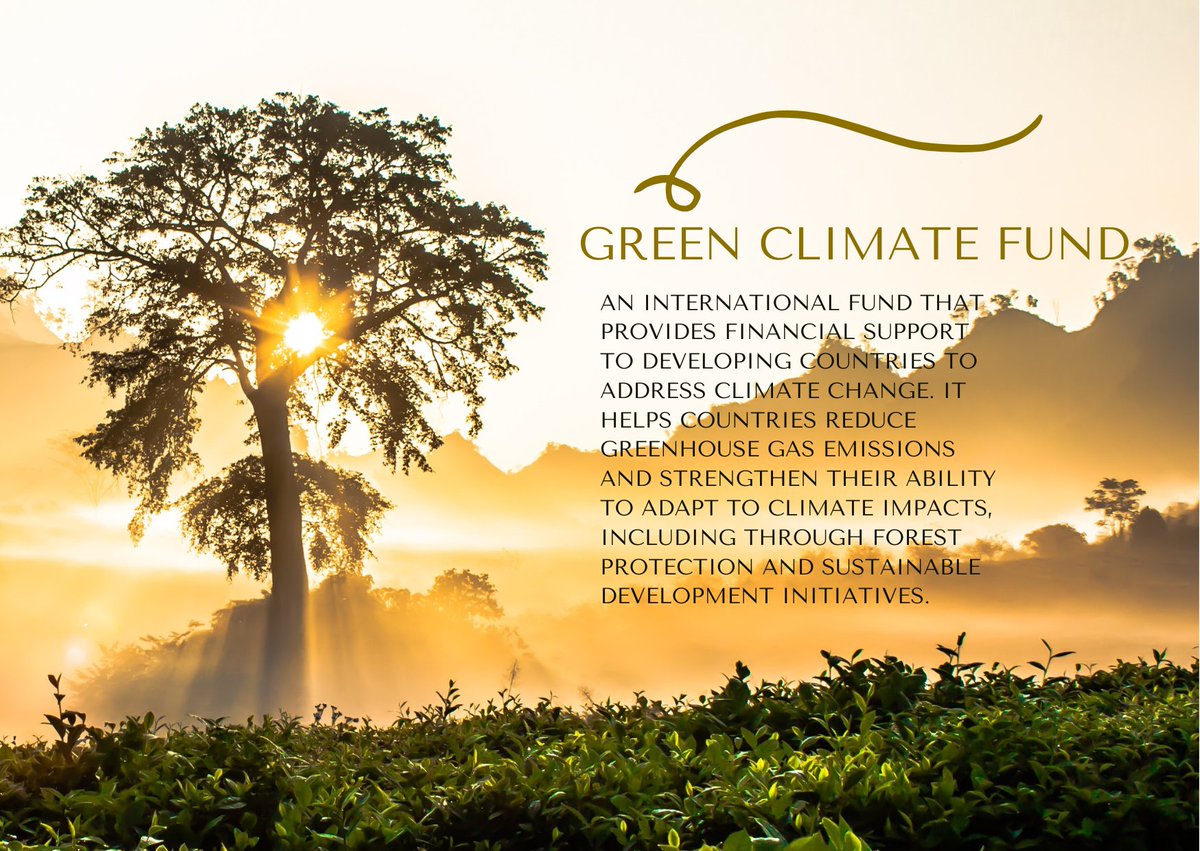 FAOinPNG's tweet photo. Through Results-Based Payments, nations receive funding after verified cuts in emissions, especially from deforestation. Papua New Guinea qualified after showing reduced forest-related emissions.
#GreenClimateFund #REDDplus #CCDA https://t.co/8WdAWMYIj8