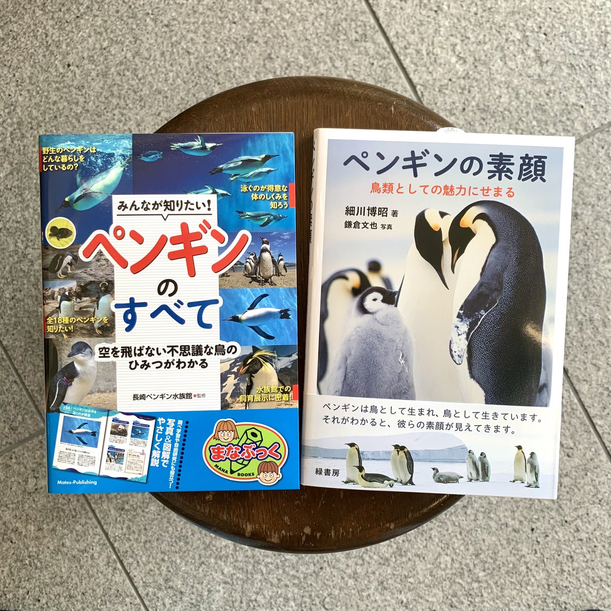 ペンギン好きさん注目の本が入荷してます🐟 今日もご来店お待ちして